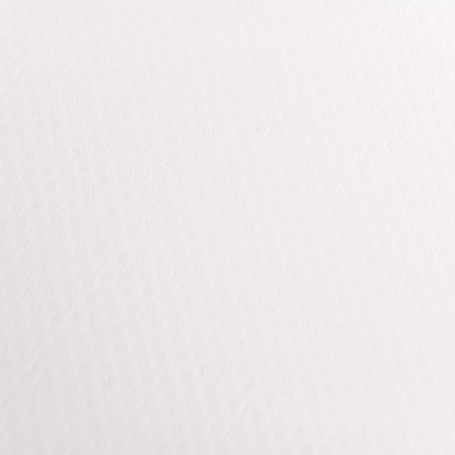 Banner 610