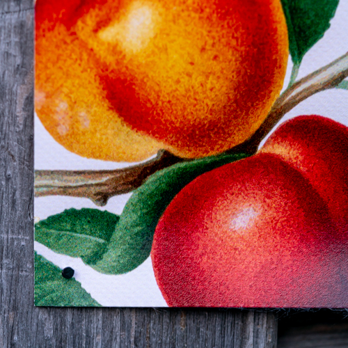 Garten-Poster